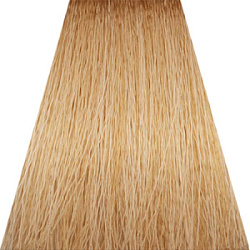 CONCEPT Soft Touch Крем-краска 9.0 Очень светлый блондин 100 мл купить недорого в интернет магазине Beauty Prof с доставкой по Хабаровску и регионам России