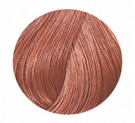 WELLA Koleston  8/38 светлый блонд золотой жемчуг 60 мл купить недорого в интернет магазине Beauty Prof с доставкой по Хабаровску и регионам России