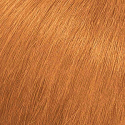 MATRIX SoColor Sync 8CG светлый блондин медно-золотистый 90 мл купить недорого в интернет магазине Beauty Prof с доставкой по Хабаровску и регионам России