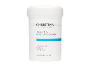 CHRISTINA Крем увлажняющий с маслом моркови для сухой и очень сухой кожи Шиповник 250 мл купить недорого в интернет магазине Beauty Prof с доставкой по Хабаровску и регионам России