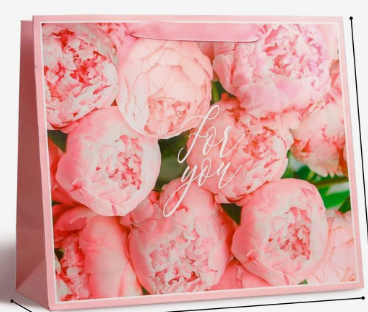 Пакет ламинированный горизонтальный For you ML 27*23*11,5 см
